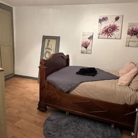 Apartment Ammonite