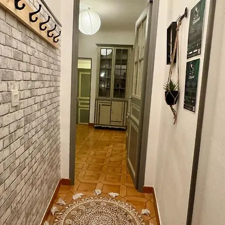 Apartment Ammonite