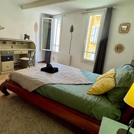 Apartment Ammonite